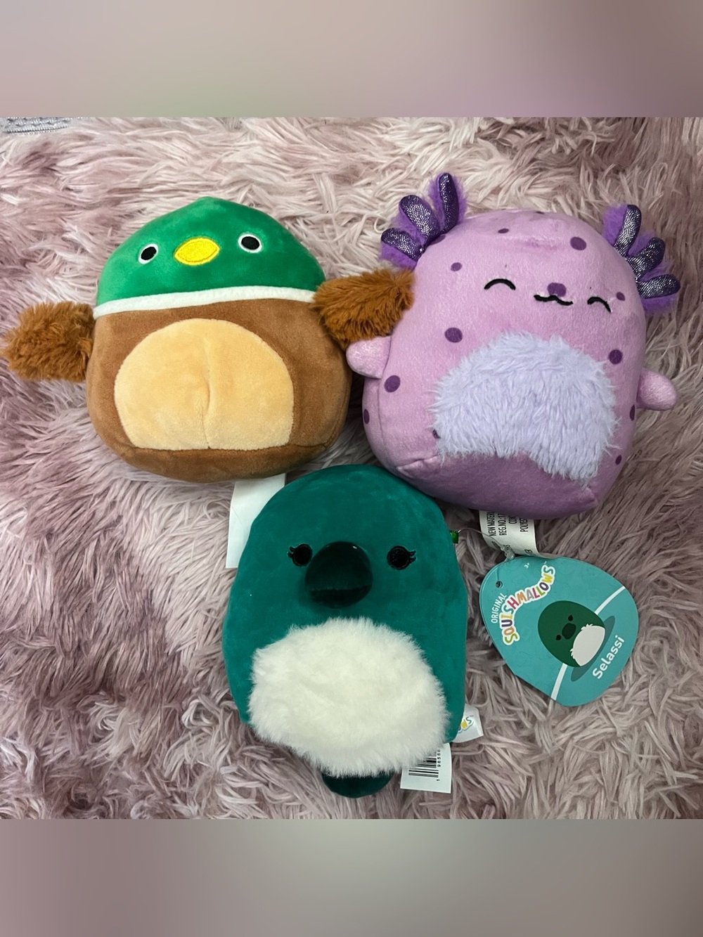 Lot of 3 small Squishmallow plushes Amala, Avery, Selassi